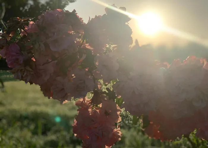 Cento Giorni B&B Costa Paestum Capaccio